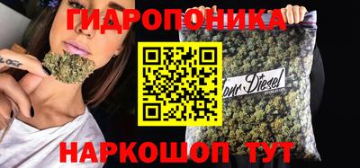 шишки Ипатово