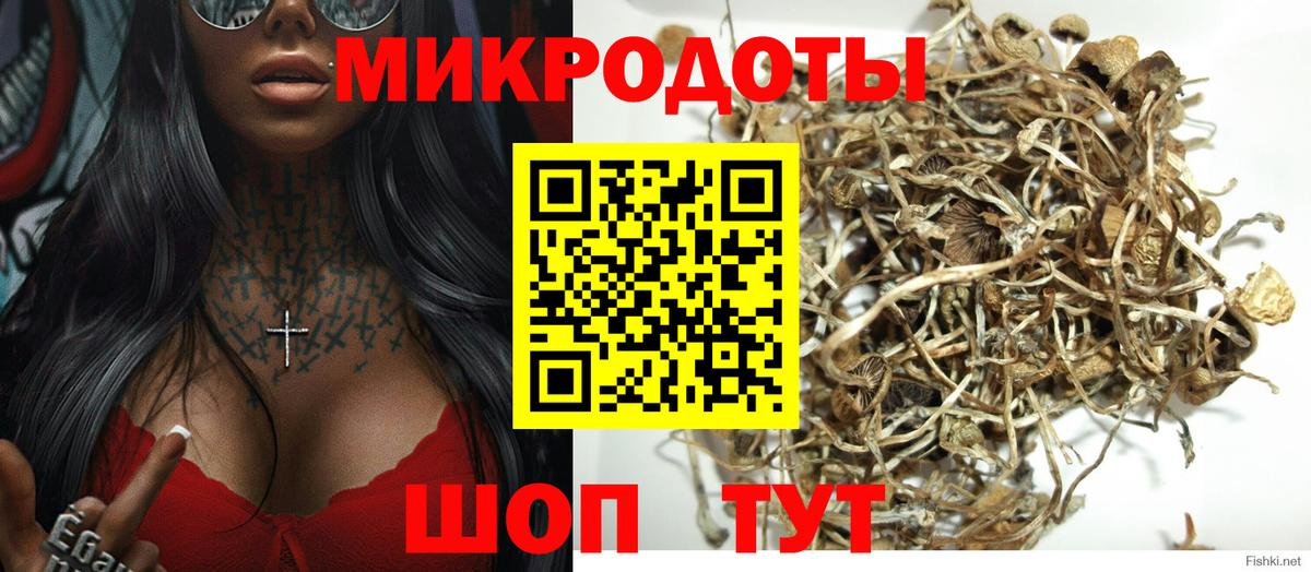 Псилоцибиновые грибы мицелий  Вход с VPN  Луховицы  Галлюциногенные грибы Psilocybine cubensis 