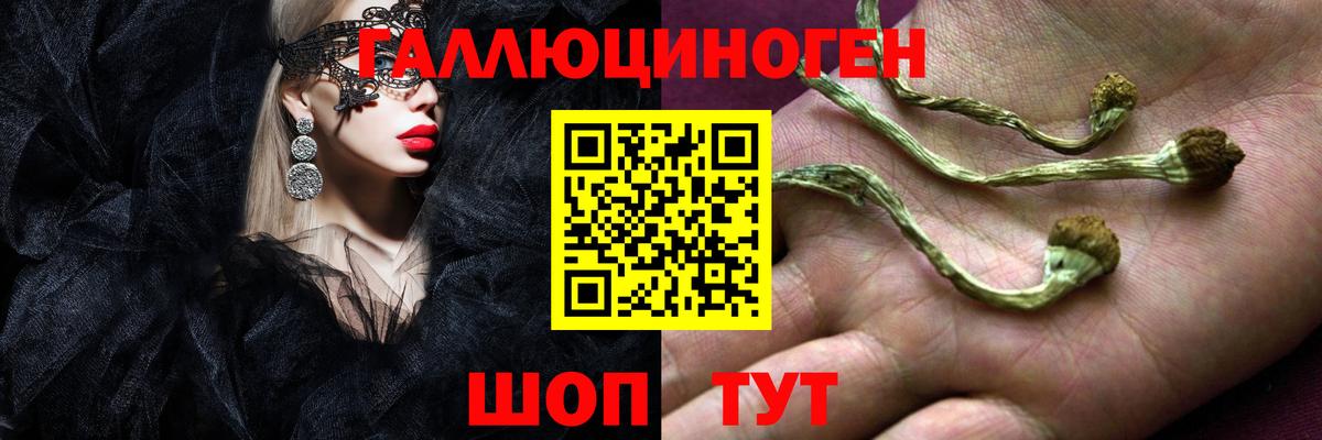 Псилоцибиновые грибы мухоморы Луховицы